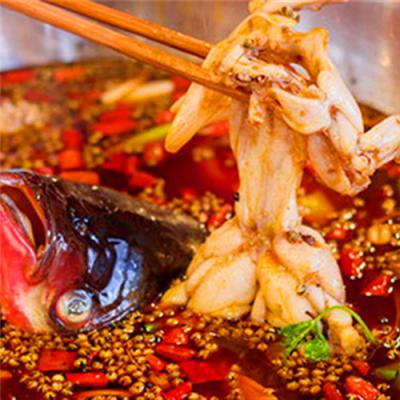 成都美蛙魚頭火鍋技術(shù)培訓(xùn)哪里專業(yè)？多元化的產(chǎn)品