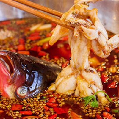 重慶美蛙魚頭火鍋技術(shù)培訓多少錢？