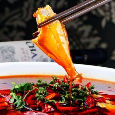 耗兒魚技術(shù)培訓(xùn)在哪里學(xué)？